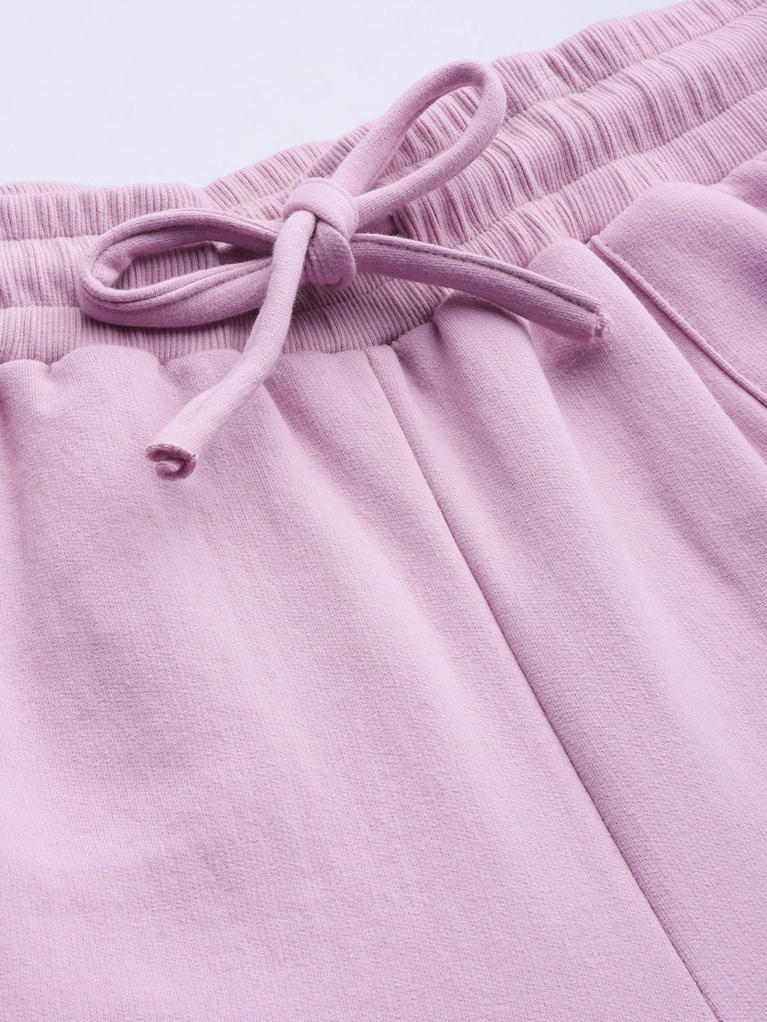 Women's Plus Size Lilac Solid Color Tapered Winter Jogger