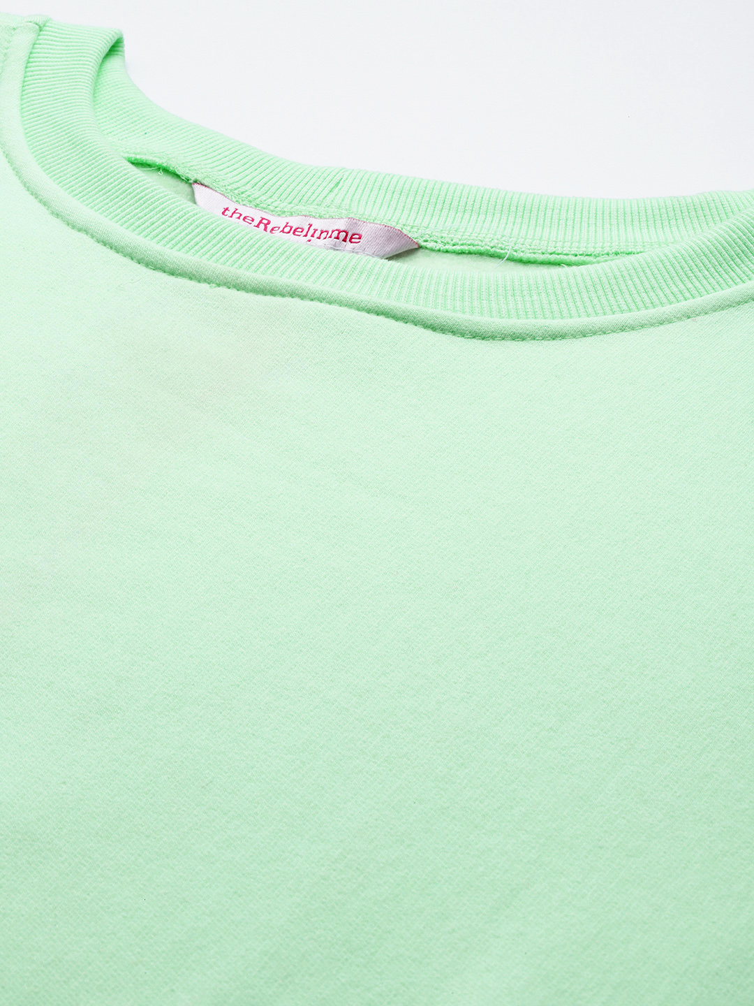 Women's Plus Size Sea Green Solid Color Fleece Winter Longline Top