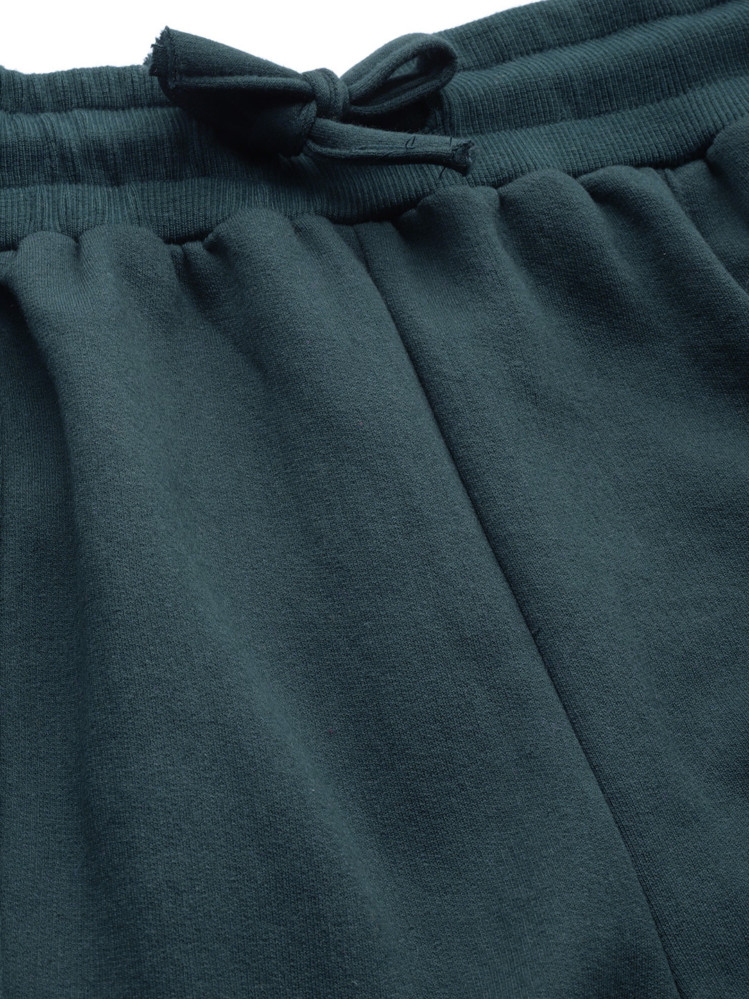 Women's Plus Size Teal Solid Color Fleece Winter Tapered Trouser